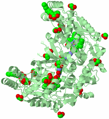 Image Biological Unit 2