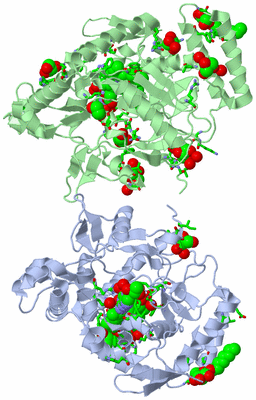 Image Asym. Unit - sites