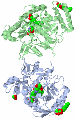 Image Asymmetric Unit