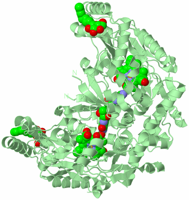 Image Biological Unit 2