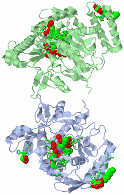Image Asym. Unit - sites