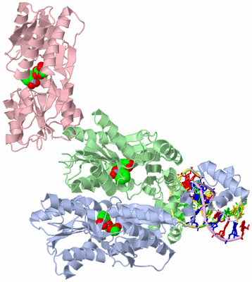 Image Asymmetric Unit