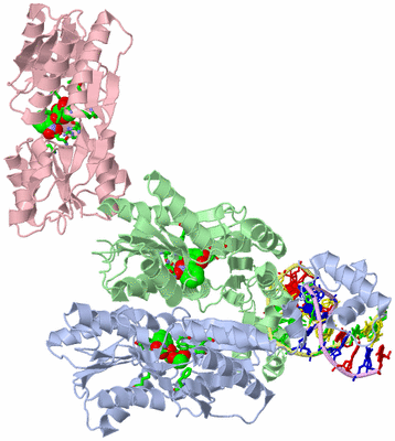 Image Asym. Unit - sites