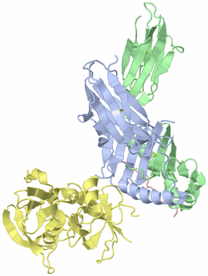 Image Asym./Biol. Unit