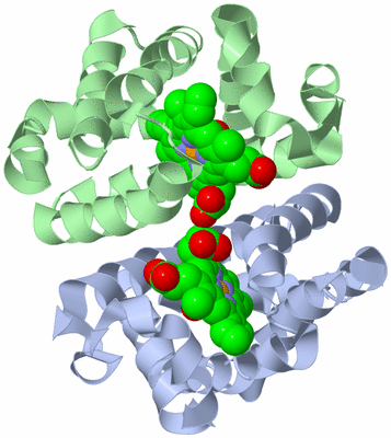 Image Biological Unit 1