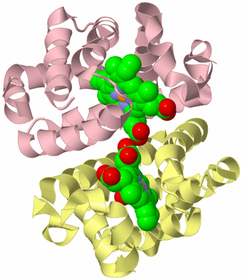 Image Biological Unit 2