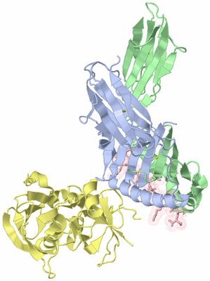 Image Asym./Biol. Unit