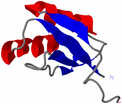Image NMR Structure - model 1