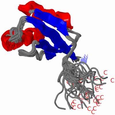 Image NMR Structure - all models