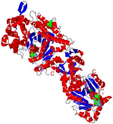 Image Asym./Biol. Unit