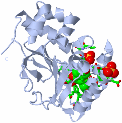 Image Biol. Unit 1 - sites