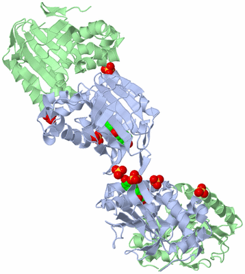 Image Biological Unit 3