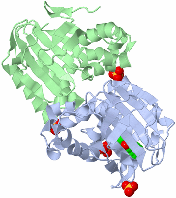 Image Biological Unit 4