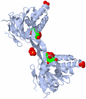 Image Biological Unit 5