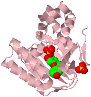 Image Biological Unit 3