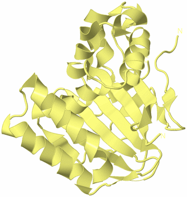 Image Biological Unit 4