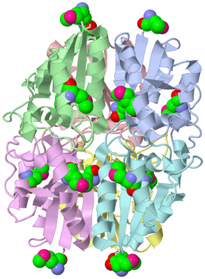 Image Asym./Biol. Unit