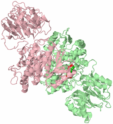 Image Biological Unit 2