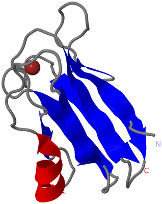 Image NMR Structure - model 1