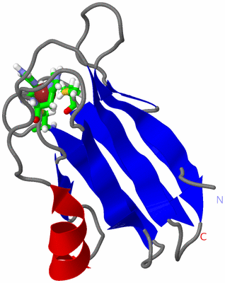 Image NMR Structure - model 1, sites