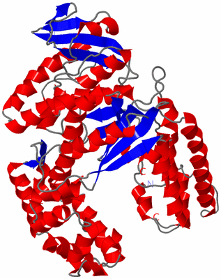 Image Asym./Biol. Unit