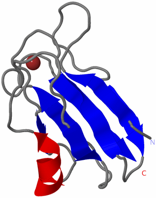 Image NMR Structure - model 1