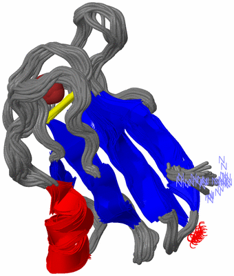 Image NMR Structure - all models