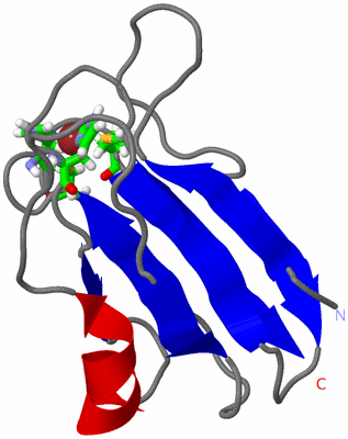 Image NMR Structure - model 1, sites