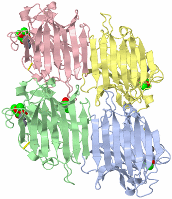 Image Asymmetric Unit