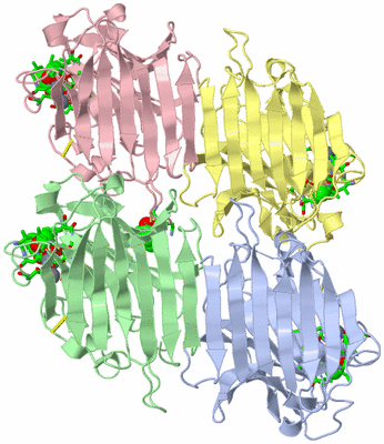Image Asym. Unit - sites