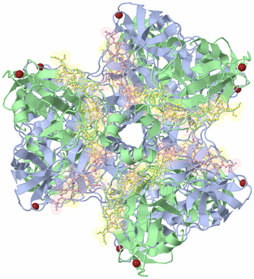 Image Biological Unit 2