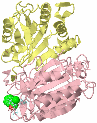 Image Biological Unit 2