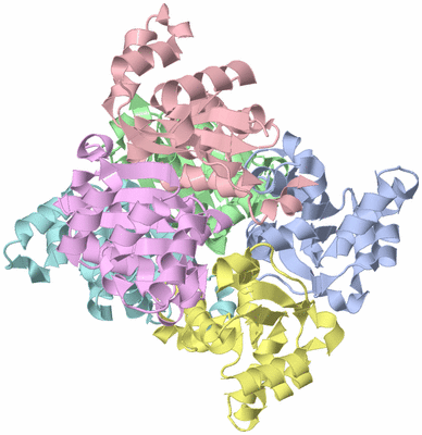 Image Asym./Biol. Unit