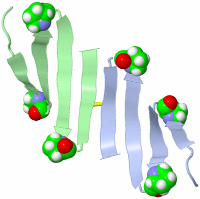 Image NMR Structure - model 1