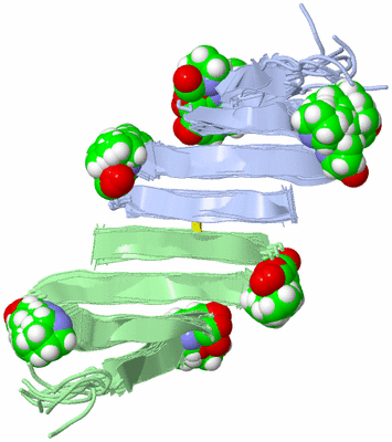 Image NMR Structure - all models