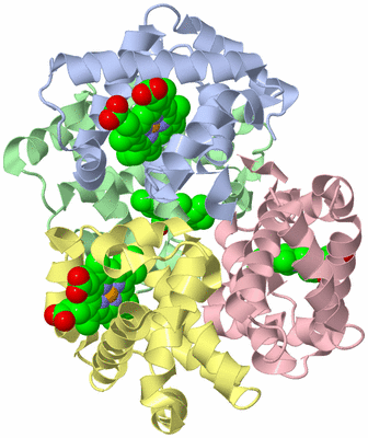 Image Biological Unit 1