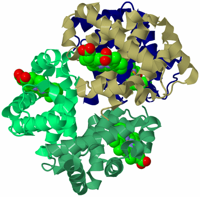 Image Biological Unit 2