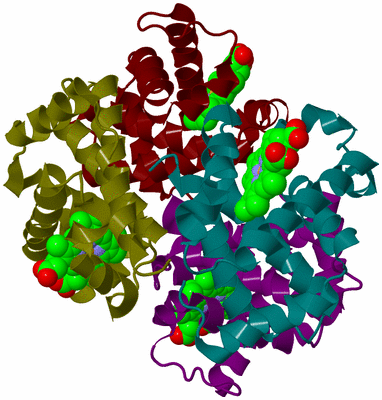 Image Biological Unit 3