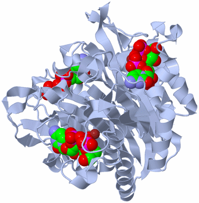 Image Biological Unit 1