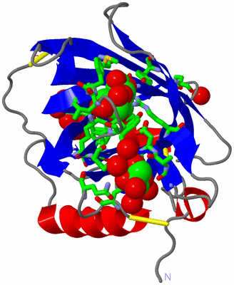 Image Asym./Biol. Unit - sites