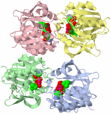 Image Asym./Biol. Unit