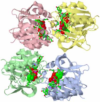 Image Asym./Biol. Unit - sites