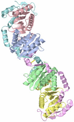 Image Asym./Biol. Unit