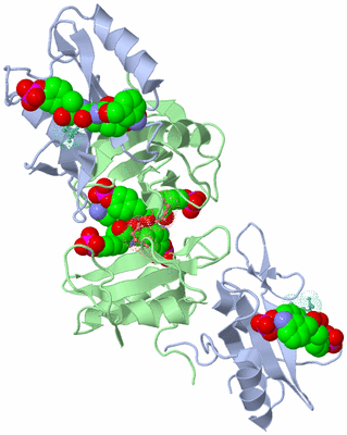 Image Biological Unit 2