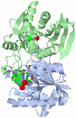 Image Asym./Biol. Unit - sites