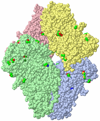 Image Asym./Biol. Unit