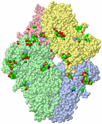 Image Asym./Biol. Unit - sites