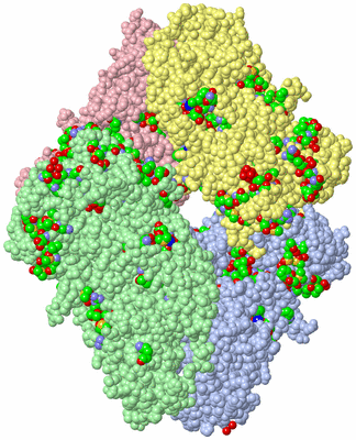 Image Asym./Biol. Unit - sites