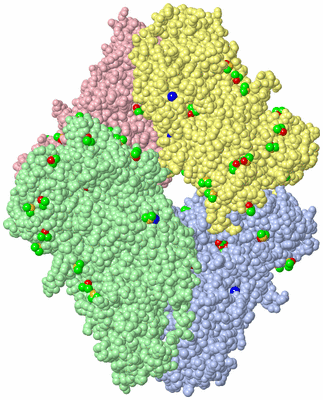 Image Asym./Biol. Unit