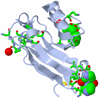 Image Biol. Unit 1 - sites